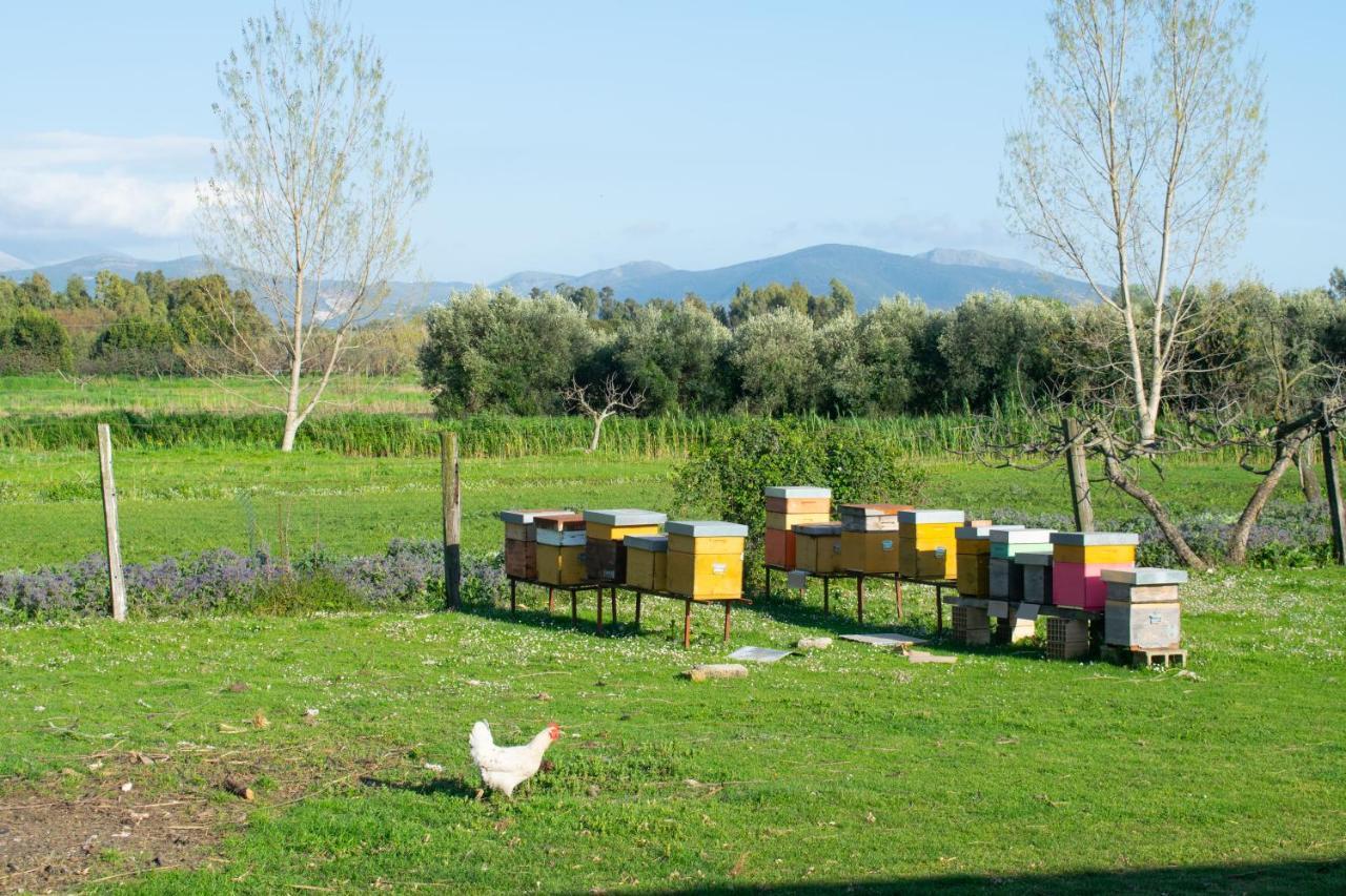 Camera Iris - B&B Antico Casale Monte San Biagio Exterior foto